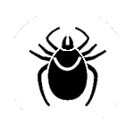 Dust-mites-icon
